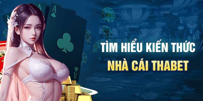 Tác giả Ngọc Châu - CEO trang cá cược Thabet 3 Định hướng phát triển Thabet của tác giả